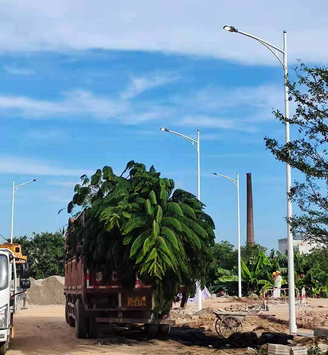 大发在线开户,大发（中国）助力东莞洪梅万科星城道路亮化工程